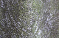 Ounsdale fibreglass roof work